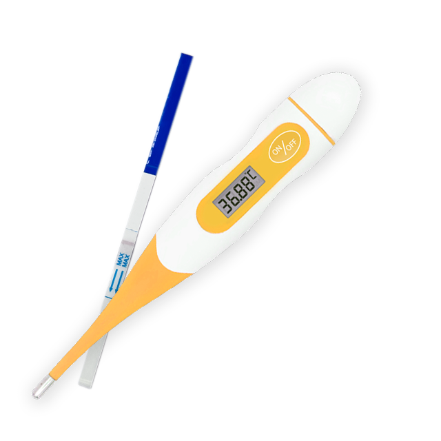 Ovulatietesten en BBT thermometer